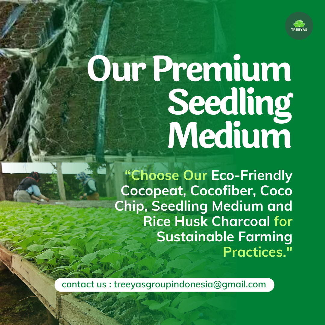 Seedling Medium